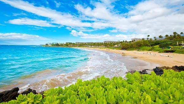 Wailea Beach 1d483584