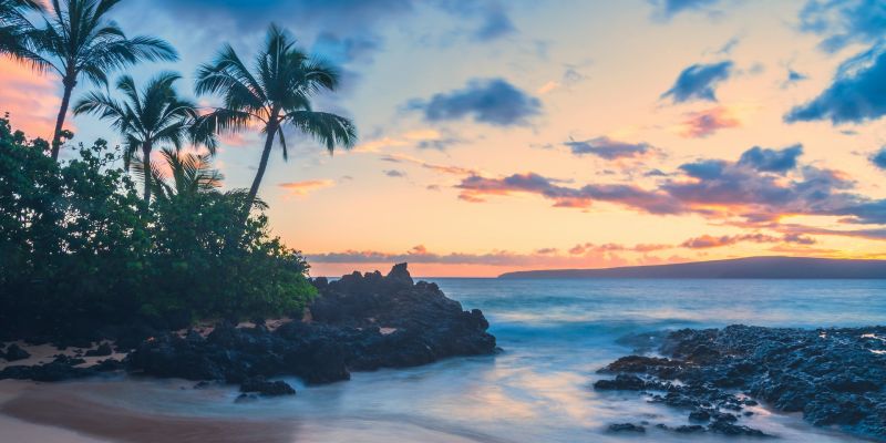 Dynamic Pricing Software: The Key to Improving Your Bottom Line