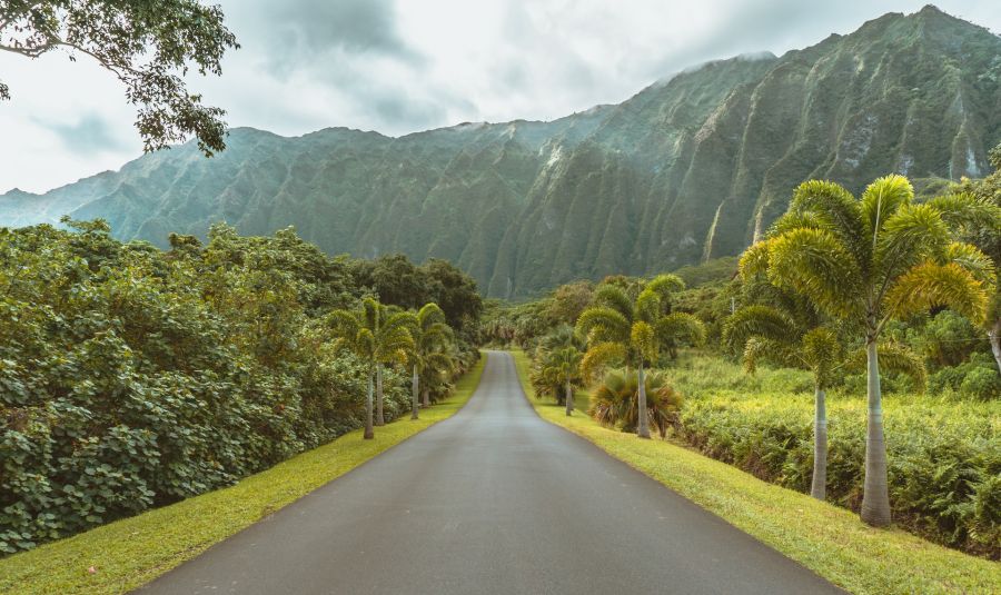 Experience day trips from Oahu on your next vacation Experience day trips from Oahu on your next vacation
