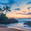 maui beach cove 76b15eb3
