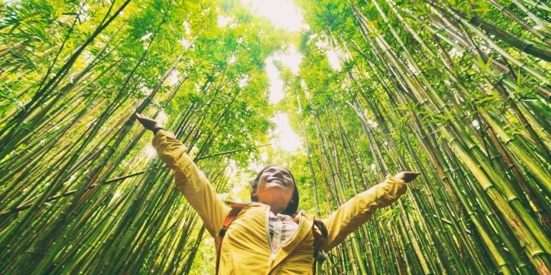 Eco-Tourism in Hawaii: Go Green & Transform Your Vacation Rental