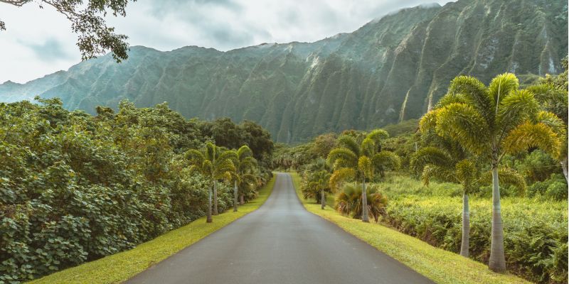 Day Trips from Oahu