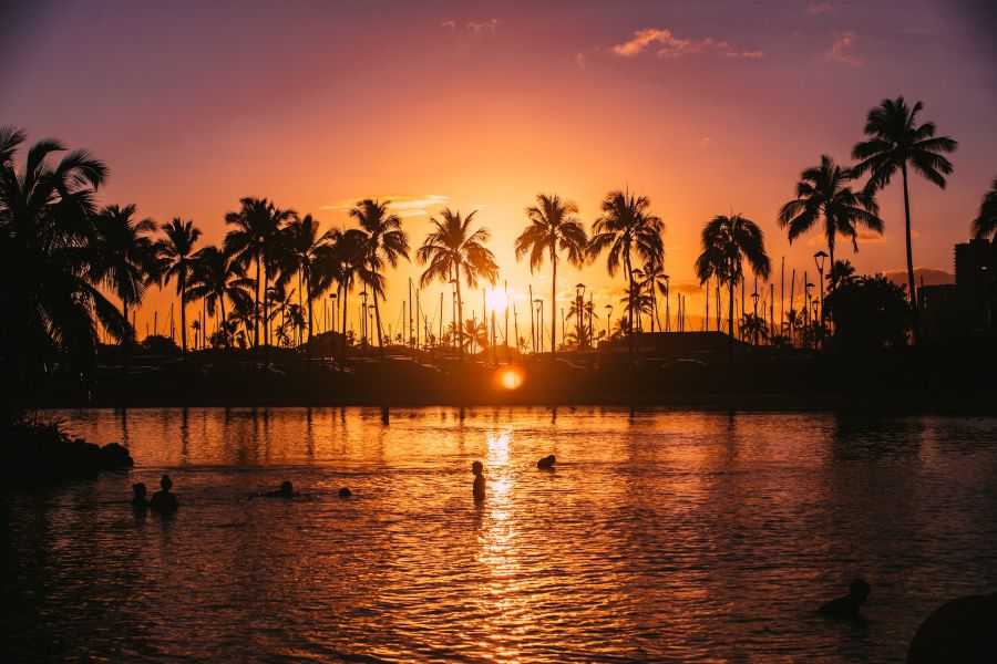 Experience the nightlife in Oahu Experience the nightlife in Oahu