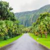 Botanical Gardens on Oahu a32fdfd4
