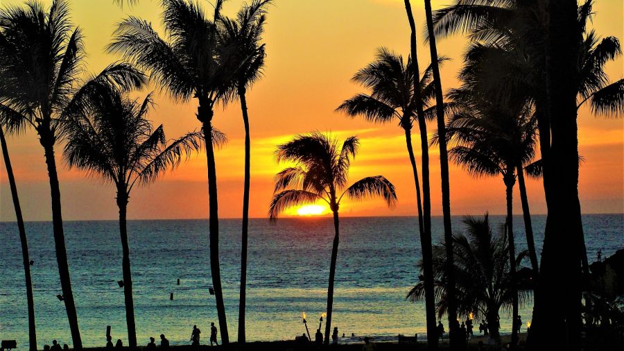 Passport to Fly to Hawaii Passport to Fly to Hawaii