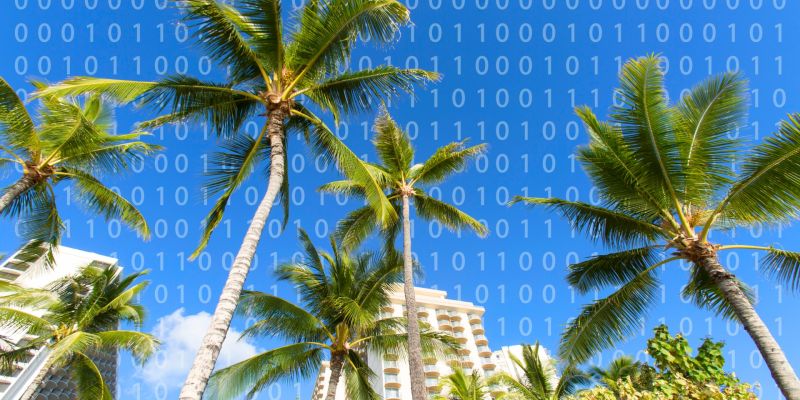 Mastering Vacation Rental KPIs: A Guide in Hawaii