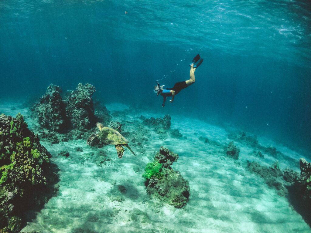 Best Snorkeling In Maui