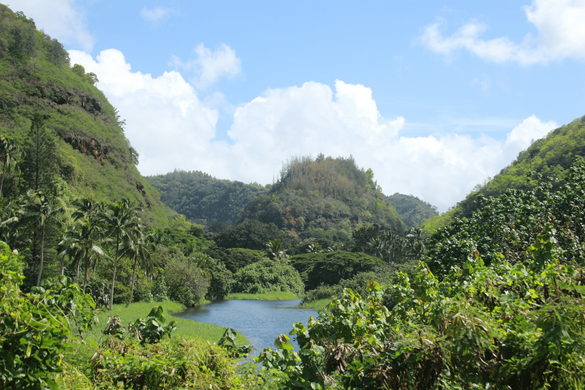 Waimea Valley on Oahu's North Shore