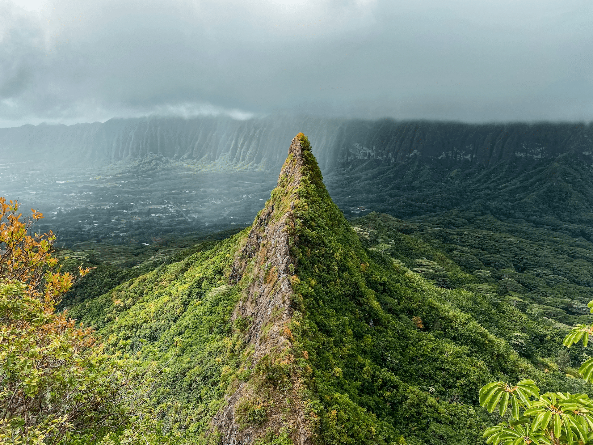 Green mountain ridge on a hiking trail on Oahu