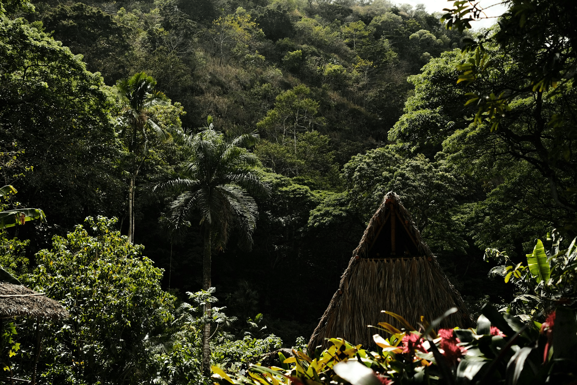 Waimea Valley on Oahu's North Shore