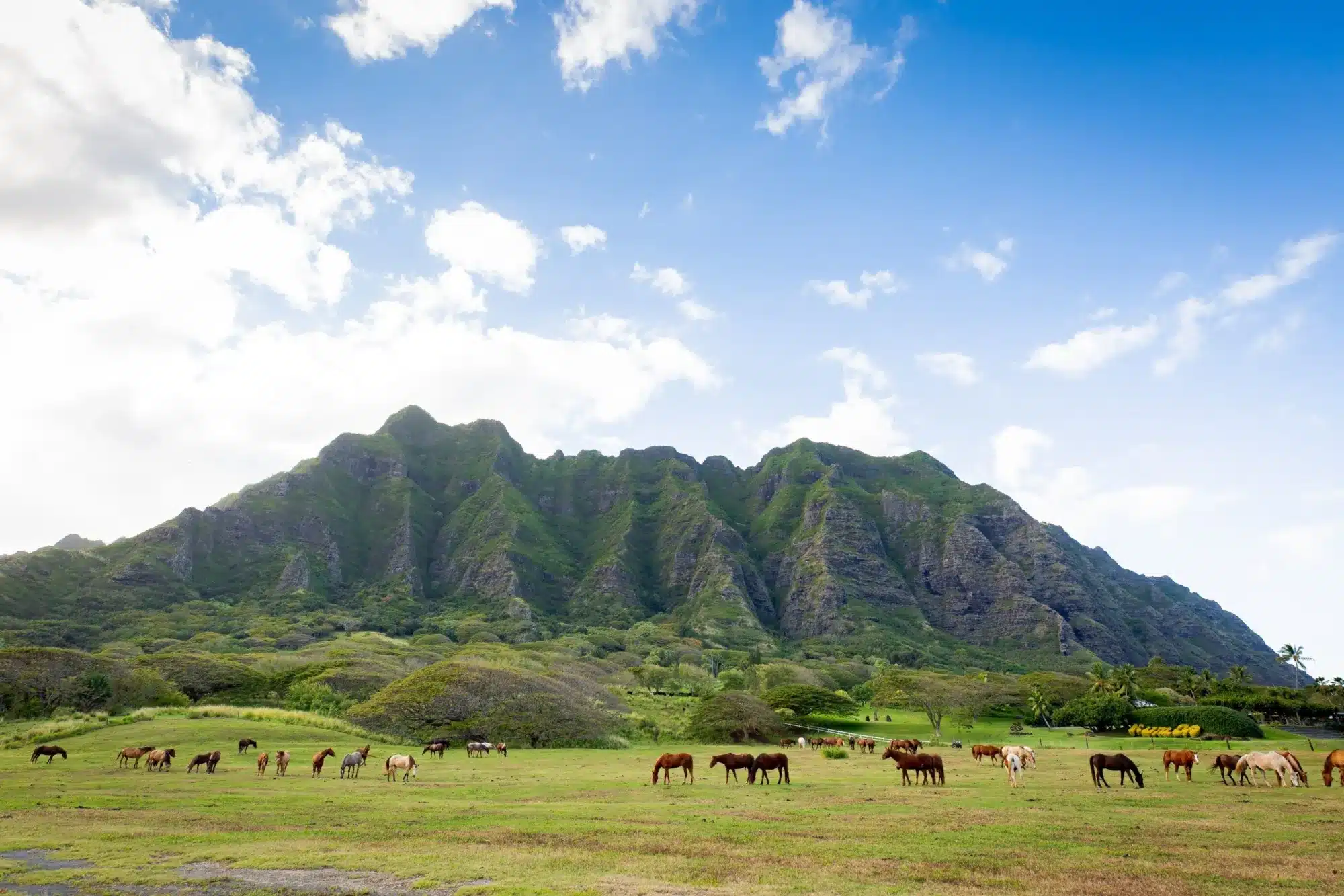 Kualoa Ranch valley and mountains on Oahu