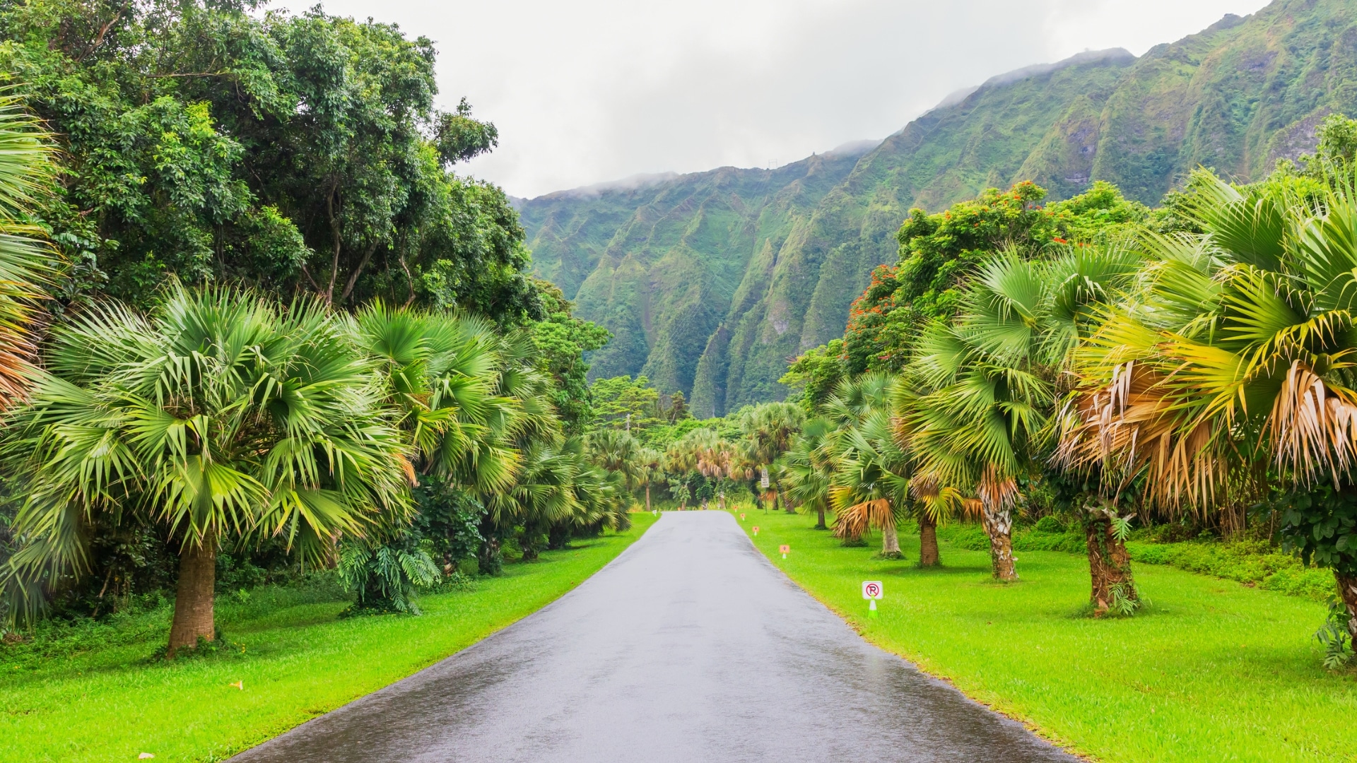Botanical gardens on Oahu