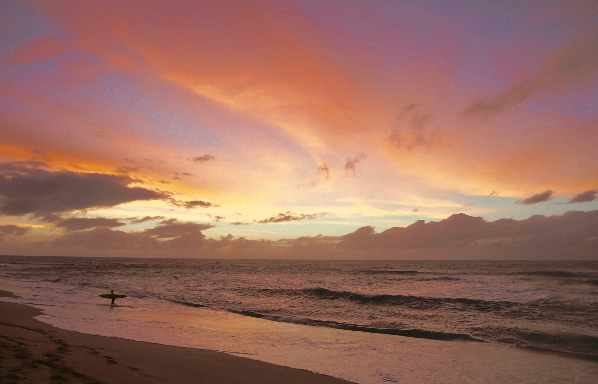 Explore the North Shore of Oahu