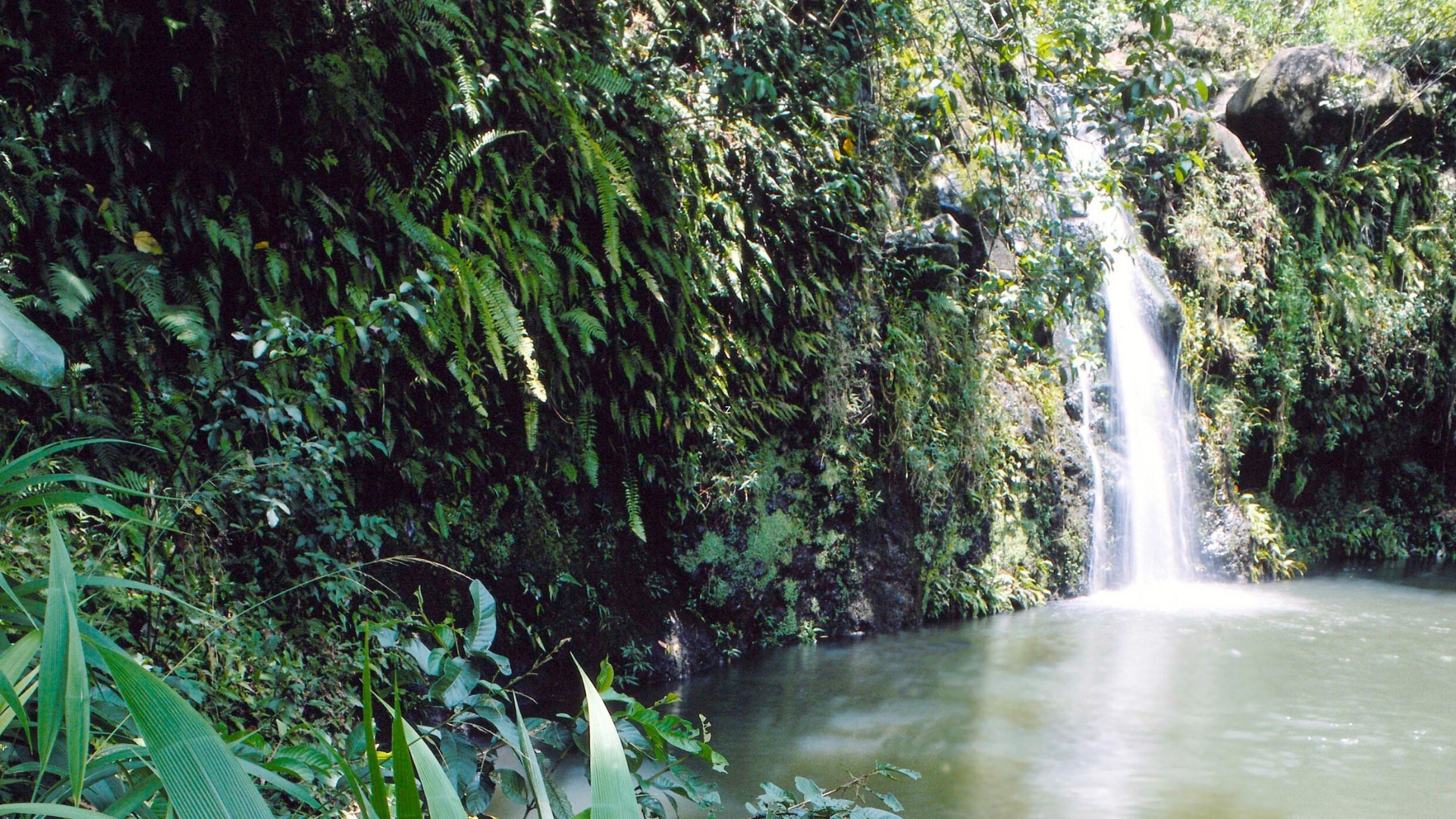 Haipuaena Falls, Maui Hawaii
