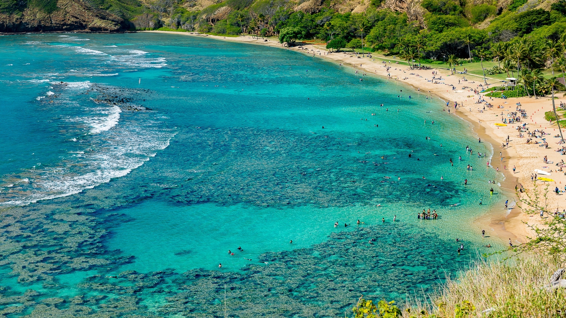 Hanauma Bay on Oahu, a top spot for snorkeling