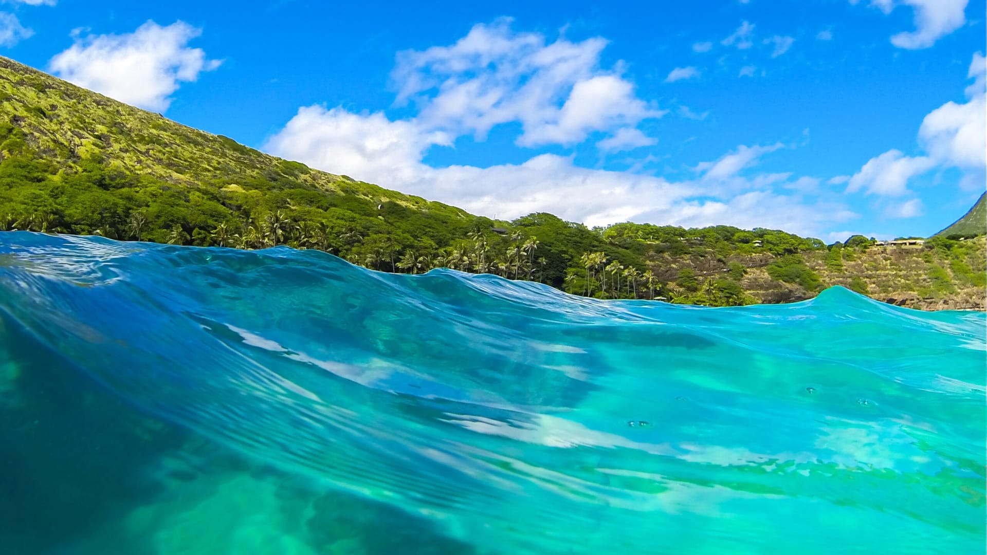 Hanauma Bay seen from the water