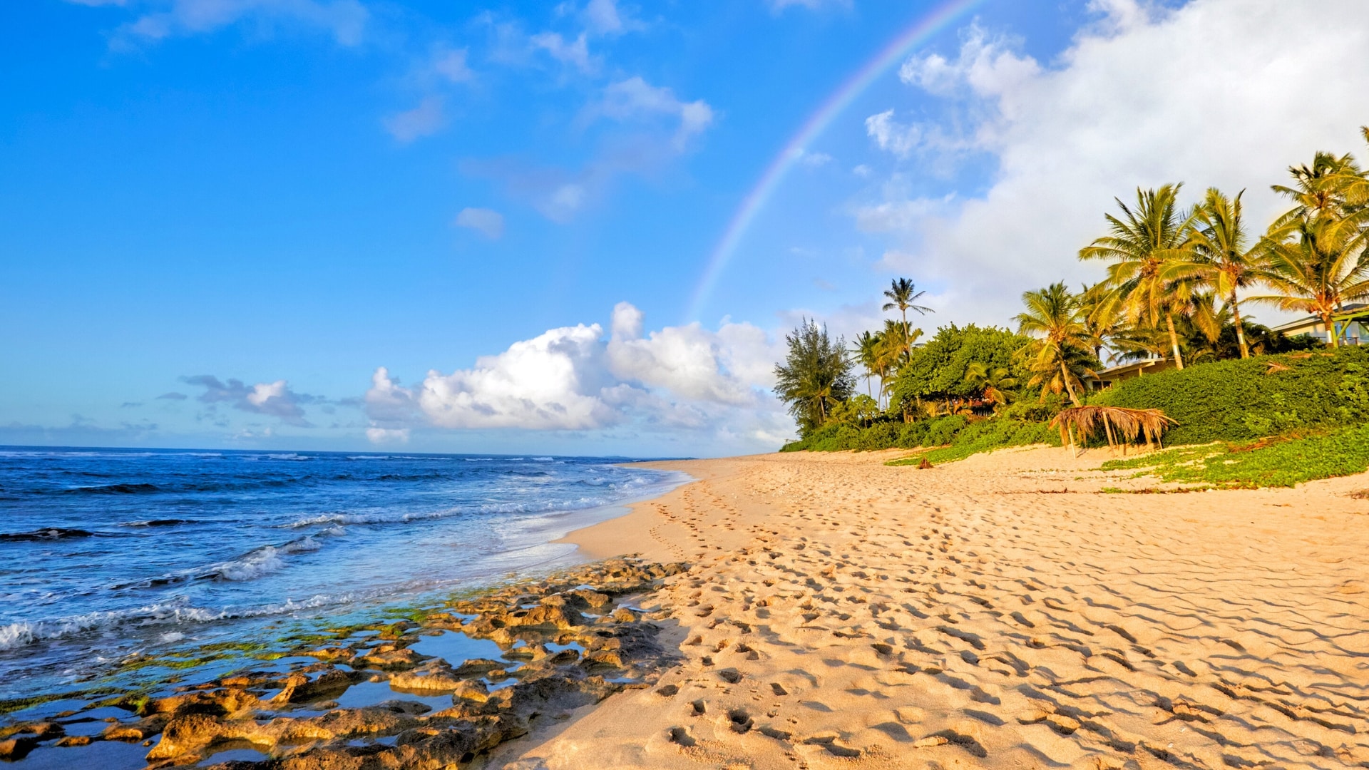 Oahu weather by season and the best time to visit Oahu