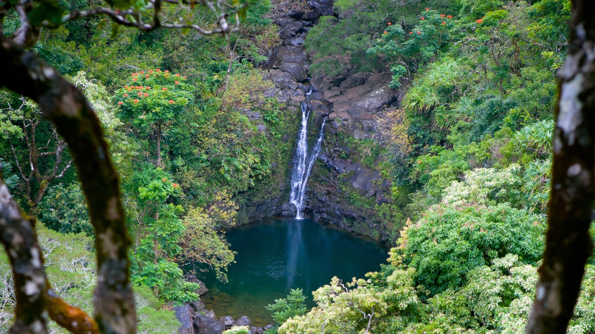 Puohokamoa Falls on the Road to Hana
