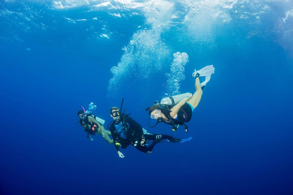 Scuba, surf and paddle rentals at Polo Beach