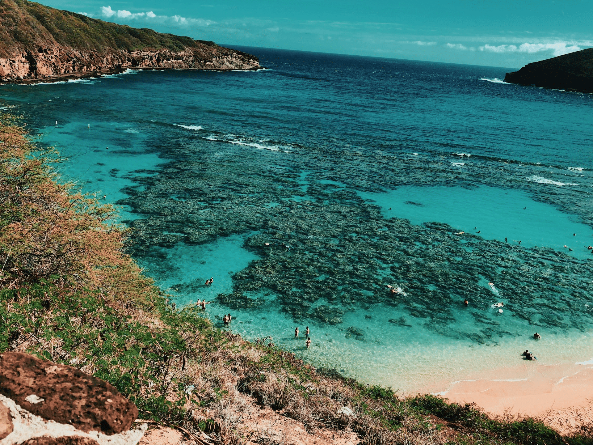 Snorkeling at Hanauma Bay on Oahu