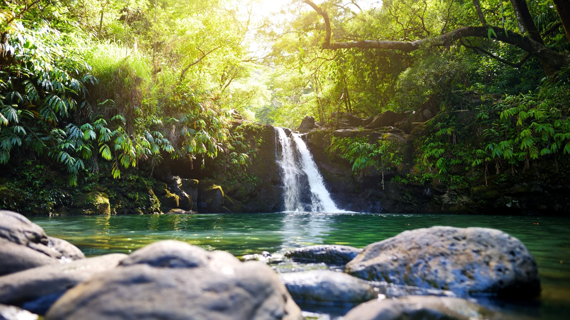 Waikamoi Falls on the Hana Highway