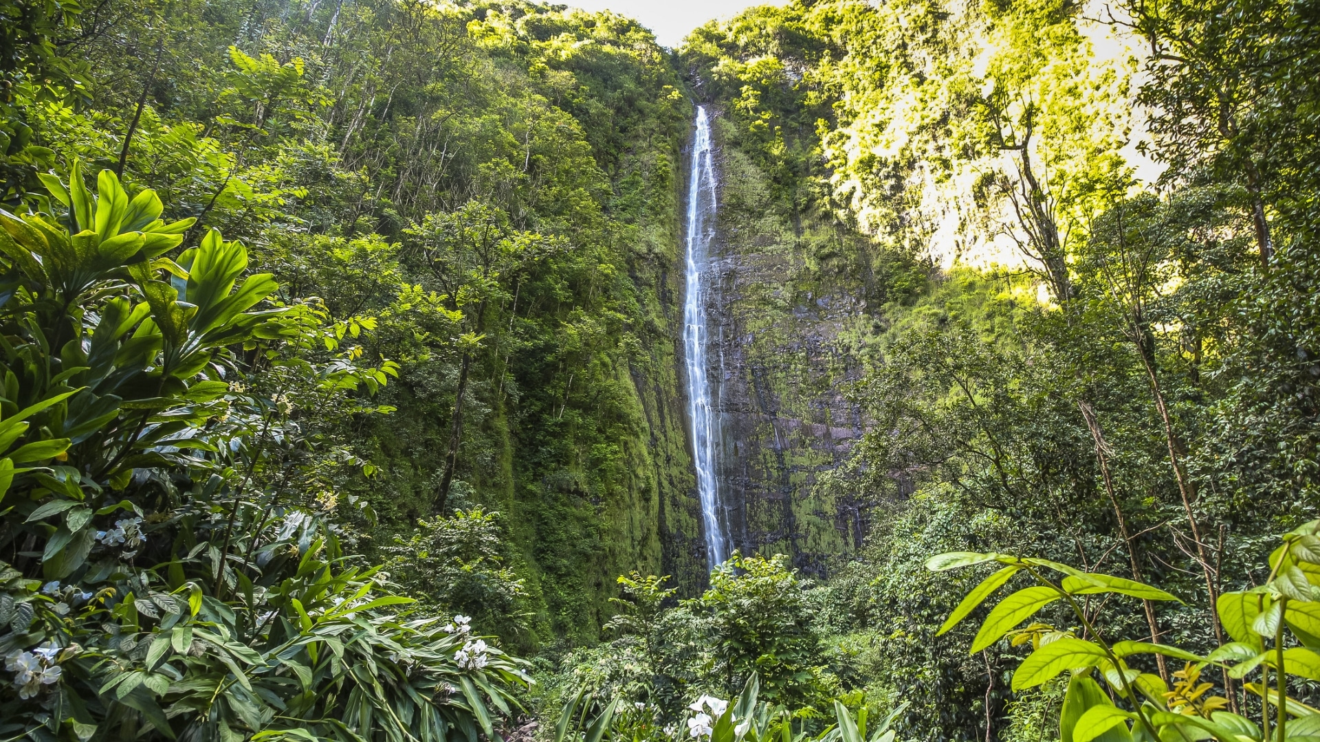 Waimoku Falls in Haleakala National Park